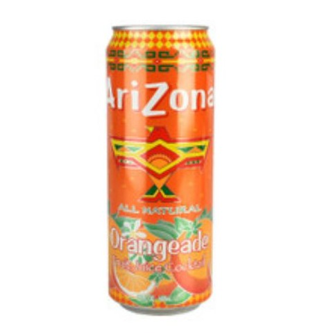 AriZona Can Stash Safe Orangeade 隱藏儲存罐